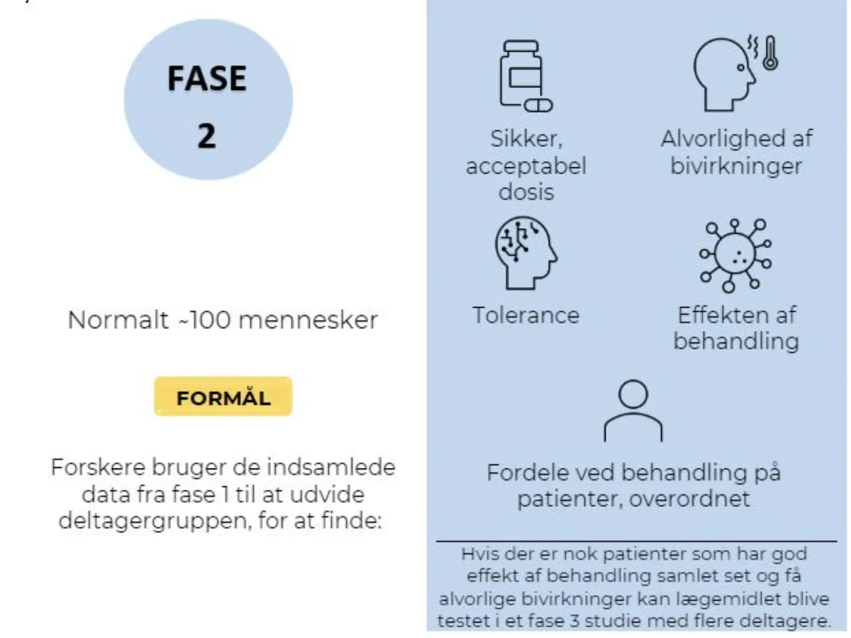 fase 2