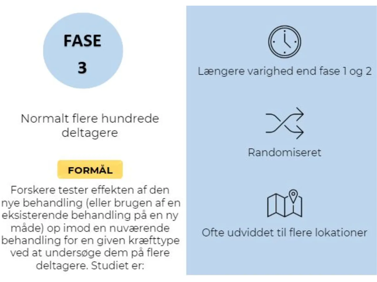 fase 3