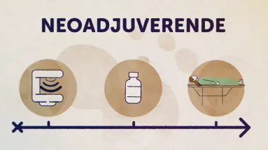 Neoadjuverende