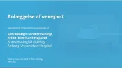 anlæggelse